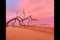 Property photo of 66 Rules Beach Road Rules Beach QLD 4674