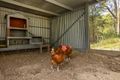 Property photo of 46 Tourmaline Court Bonogin QLD 4213