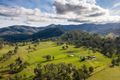 Property photo of 103 Butchers Creek Road Wherrol Flat NSW 2429
