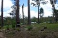 Property photo of 874 Ewan Road Paluma QLD 4816