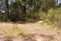 Property photo of 2185 Springbrook Road Springbrook QLD 4213