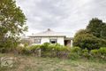 Property photo of 11997 Riddoch Highway Struan SA 5271