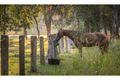 Property photo of 253 Rafting Ground Road Brookfield QLD 4069