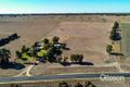 Property photo of 9295 Riddoch Highway Cadgee SA 5271