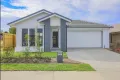 Property photo of 36 Janet Street Walloon QLD 4306