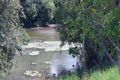 Property photo of 102 Foxwell Road Kureen QLD 4885