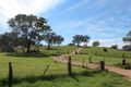 Property photo of 11 Pymonts Lane Peel NSW 2795