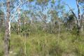 Property photo of 550 Matchbox Road Deepwater QLD 4674
