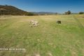 Property photo of 146 Moore Road Burra NSW 2620