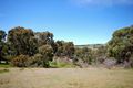 Property photo of 80 Sawpit Gully Road Mount Franklin VIC 3461
