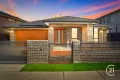 Property photo of 33 Tablelands Street Box Hill NSW 2765