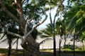 Property photo of 77 Upolu Esplanade Clifton Beach QLD 4879