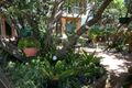 Property photo of 8 Heath Street Minnie Water NSW 2462