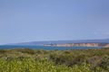 Property photo of 41 Odonohue Road Anglesea VIC 3230