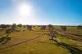 Property photo of 95 Varney Crescent Traralgon East VIC 3844