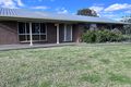Property photo of 17-19 Henry Street Curlewis NSW 2381