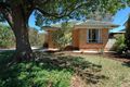 Property photo of 31 Nixon Street Marion SA 5043