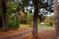 Property photo of 17 Tipperary Springs Road Daylesford VIC 3460