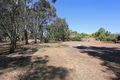 Property photo of LOT 93 Sturt Highway Nuriootpa SA 5355