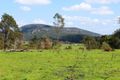 Property photo of 11 Gregor Road Glen Esk QLD 4312
