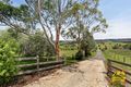 Property photo of 454 Menangle Road Menangle NSW 2568