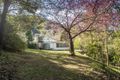 Property photo of 888 Oyster Shell Road Mangrove Creek NSW 2250