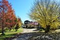 Property photo of 338 Vittoria Road Vittoria NSW 2799