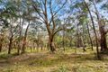 Property photo of 130 Whitegum Drive Wheatsheaf VIC 3461