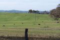 Property photo of 1730 George Russell Drive Canowindra NSW 2804