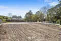 Property photo of 21 Neridah Avenue Mount Colah NSW 2079