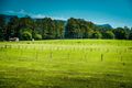 Property photo of 287 Roses Road Gleniffer NSW 2454