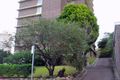 Property photo of 102/2-4 East Crescent Street McMahons Point NSW 2060