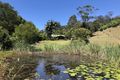 Property photo of 60 Heron Road Burringbar NSW 2483