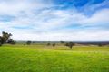 Property photo of 2407 Harmony Way Elphinstone VIC 3448