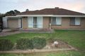 Property photo of 7 Malbanda Avenue Para Vista SA 5093