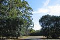 Property photo of 19 Stannix Park Road Wilberforce NSW 2756