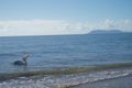 Property photo of 3/27 Sims Esplanade Yorkeys Knob QLD 4878