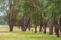Property photo of 9 Calabrese Close Margaret River WA 6285