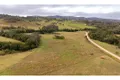 Property photo of 1262 Willina Road Bunyah NSW 2429
