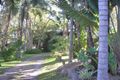Property photo of 828 Ashmore Road Molendinar QLD 4214