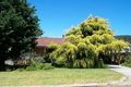 Property photo of 13 Hanson Street Mira Mar WA 6330