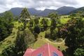 Property photo of 94 Basil Road Nimbin NSW 2480