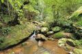 Property photo of 43C Scotts Road Upper Kangaroo River NSW 2577