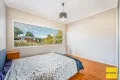 Property photo of 29 Smiths Avenue Cabramatta NSW 2166