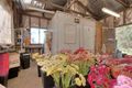 Property photo of 55 Kearney Road South Maroota NSW 2756