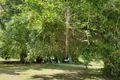 Property photo of 19 Mary Street East Innisfail QLD 4860
