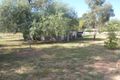 Property photo of 6 Bowler Street Eugowra NSW 2806