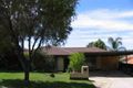 Property photo of 13 Eaglehawk Road Modbury Heights SA 5092