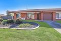 Property photo of 1/2 Titan Court Lavington NSW 2641