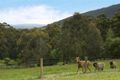 Property photo of 1609 Don Road Don Valley VIC 3139